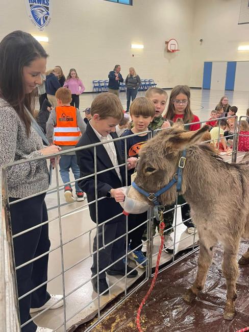 Petting Zoo n